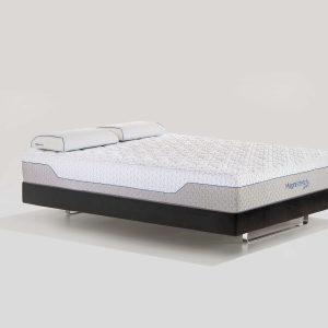 MagniStretch Sport + POKLON PO IZBORU!